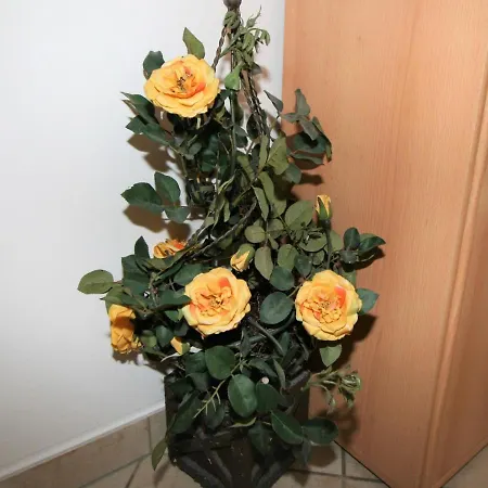 Plank-2 By Interhome