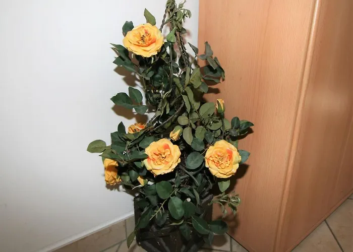 Plank-2 By Interhome